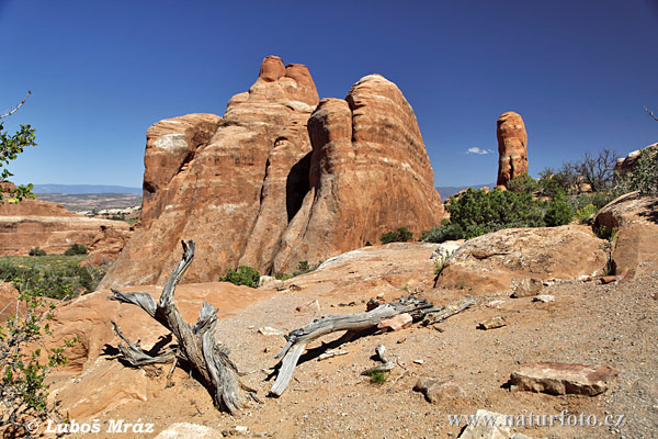 Utah, USA