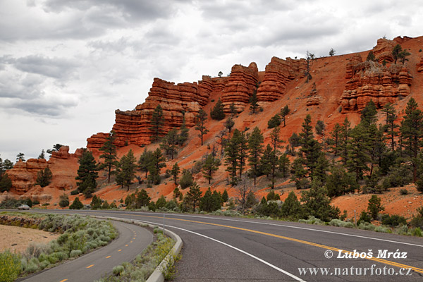 Utah, USA