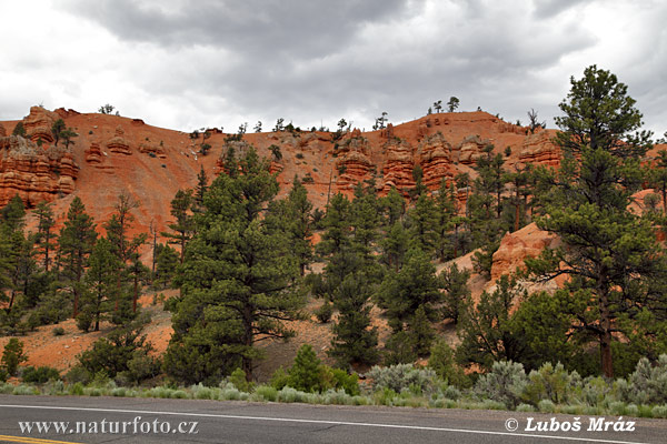 Utah, USA