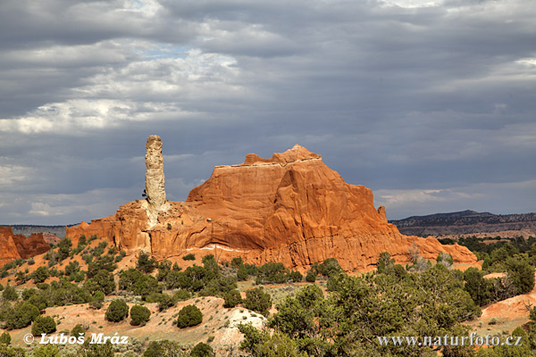 Utah, USA