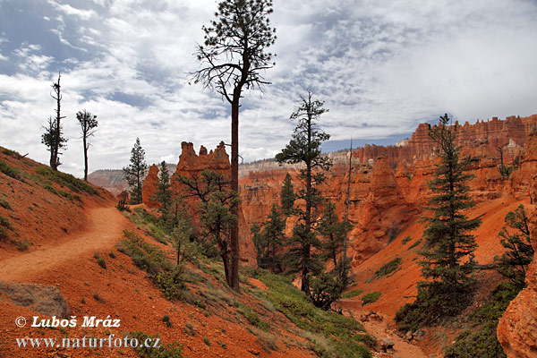 Utah, USA