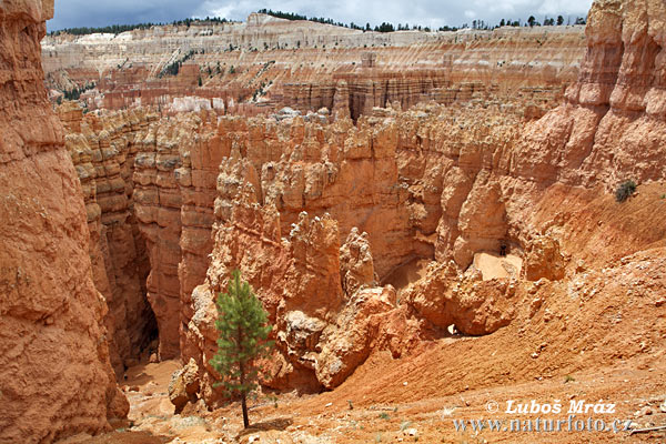 Utah, USA