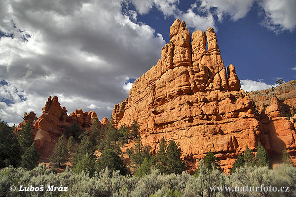 Utah, USA