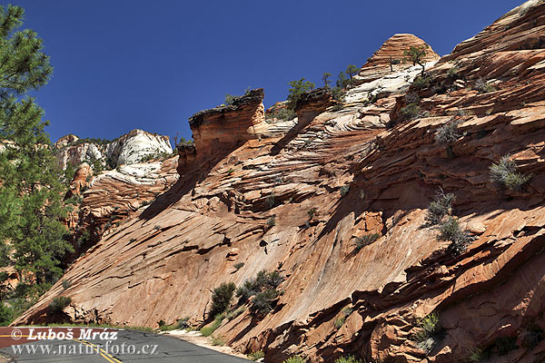 Utah, USA