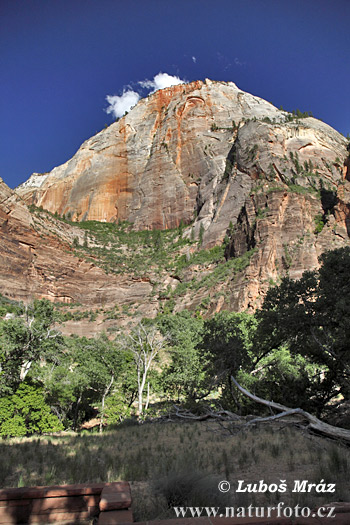 Utah, USA