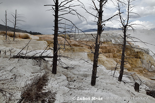 Wyoming, USA