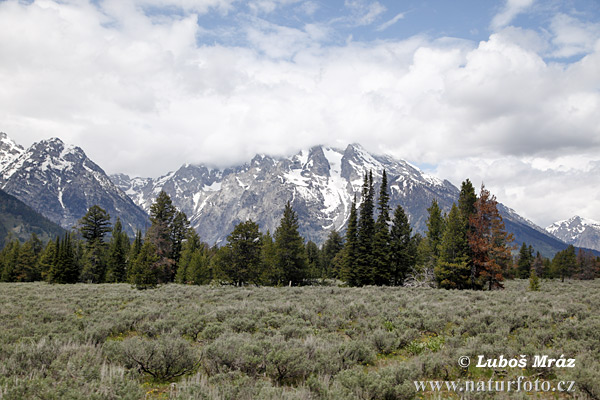 Wyoming, USA