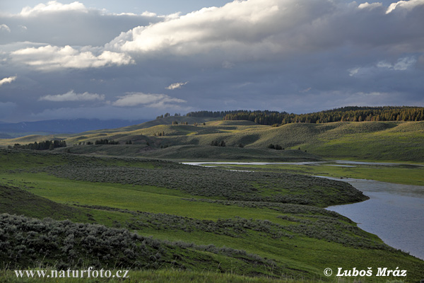 Wyoming, USA