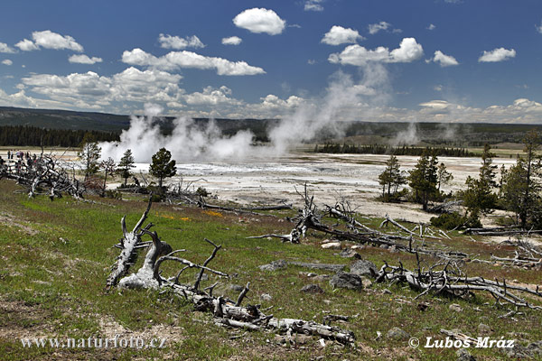 Yellowstone, Geysers (Wyoming, USA)