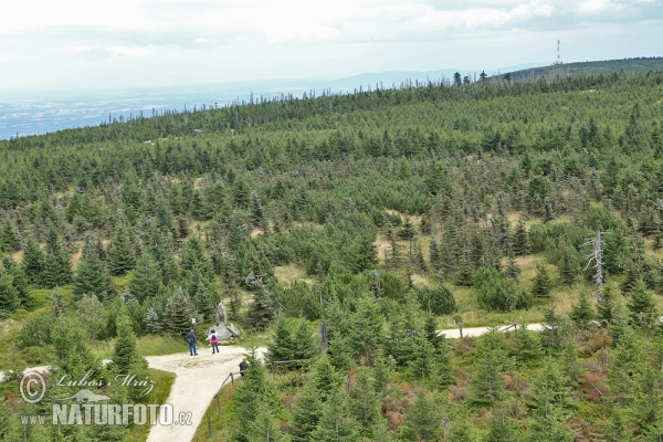 Йизерские горы