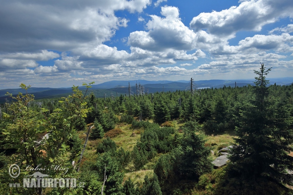 Йизерские горы