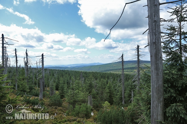 Йизерские горы