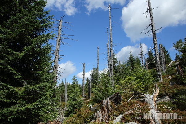 Йизерские горы