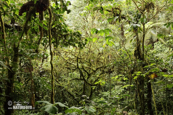 Галапагос острова