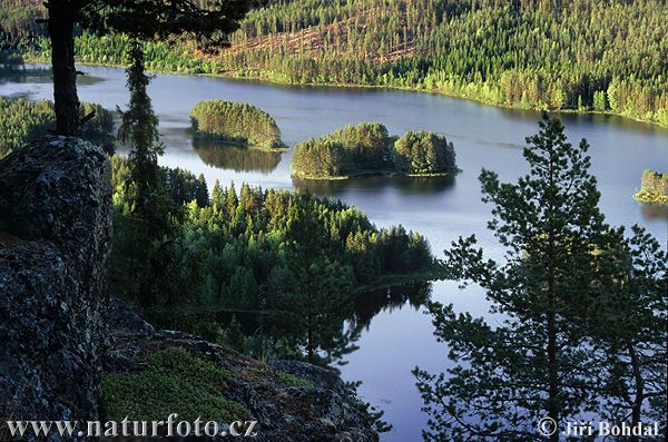 Нарвегія