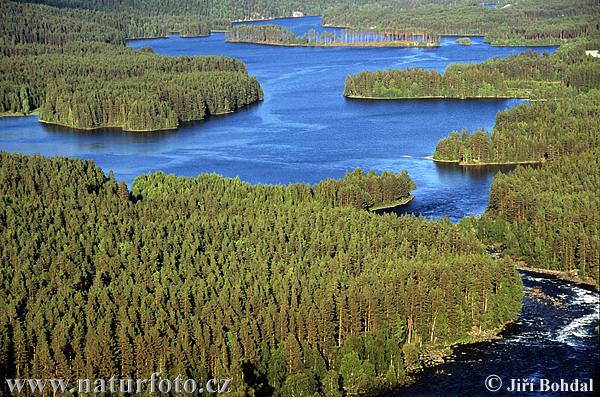 Нарвегія