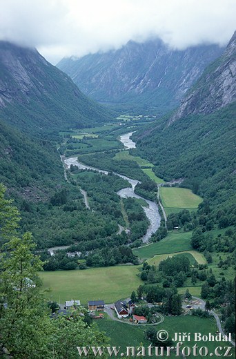 Նորվեգիա