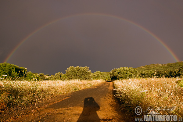 Arc-en-ciel