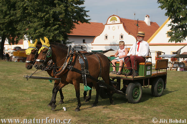 Festivities in the Village Holasovice (Holfest)