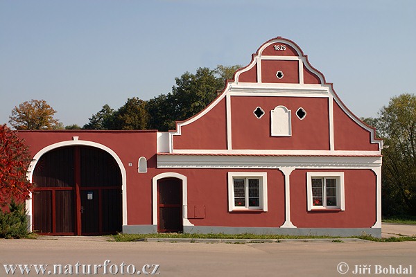 Folk Architecture - Zbudov (Arch)