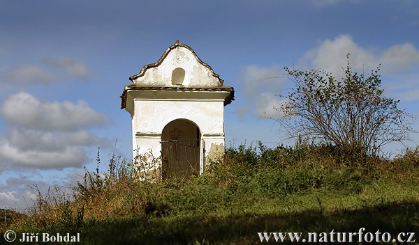 Kápolna