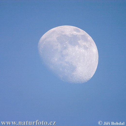 Moon (Luna)