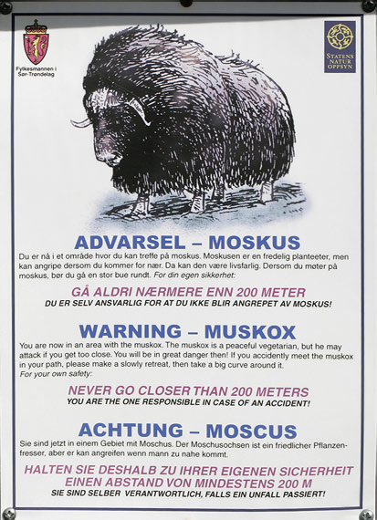 Muskusveis