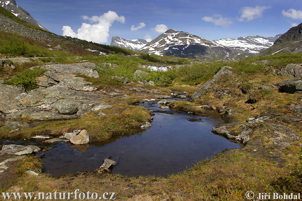 Norvège