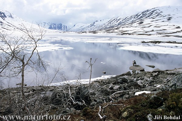 Norvège