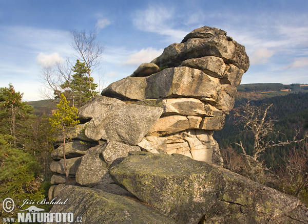 Selva de Bohemia