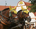 Festivities in the Village Holasovice