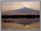 in the Danube Delta