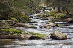 Kremelna River