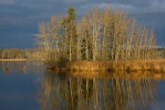 Novy Vdovec Pond