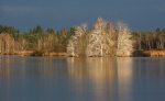 Novy Vdovec Pond