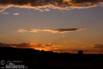 Nuage