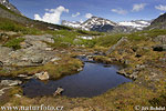 On the Romsdalen Mountain