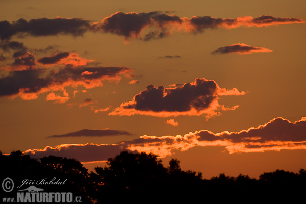 Wolk