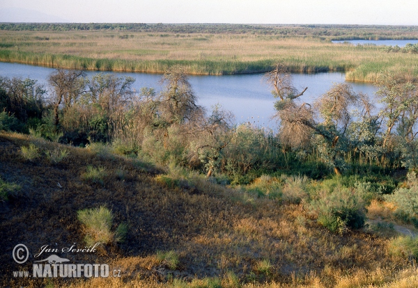 Тажик улс