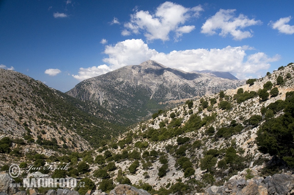 Հունաստան