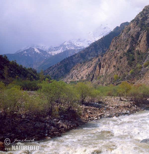 Տաջիկստան