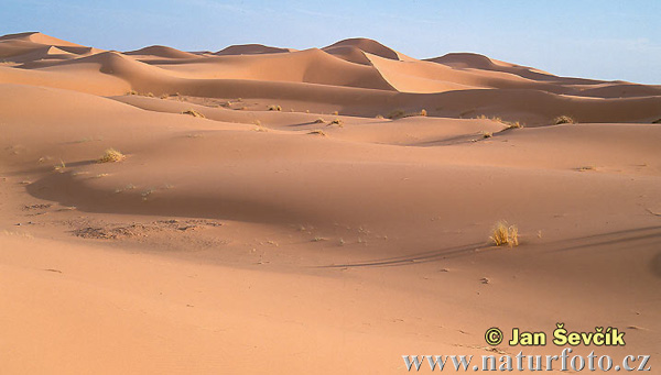 المغرب