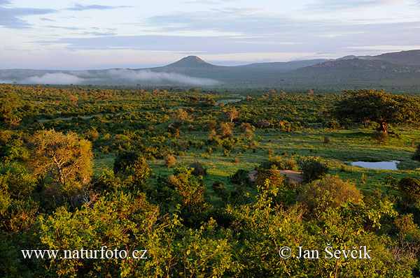 Кенија