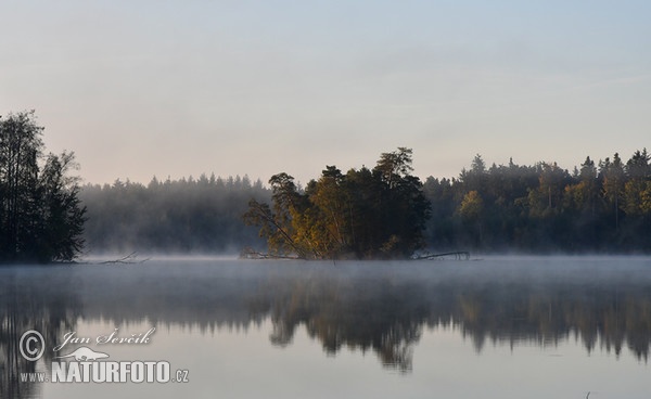 Autumn (Rybnik Novy Hospodar)