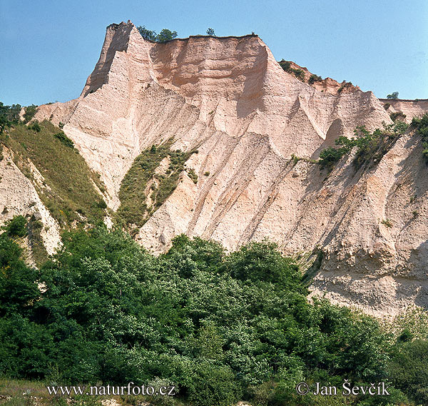 Bulgaaria