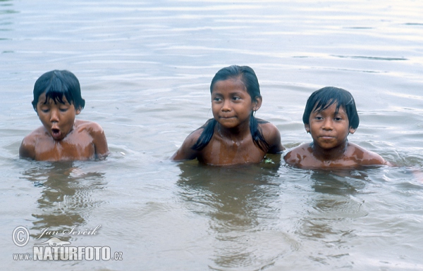 childern in the Orinoco Delta (People)