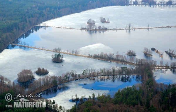 Chlumske Fishponds (Tre)