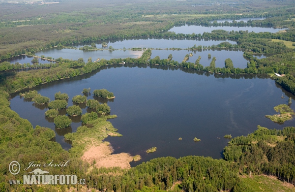 Chlumske Fishponds (AIR)