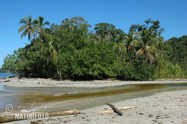 Coast of the Caribean (CR)