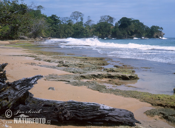 Colón island (PA)